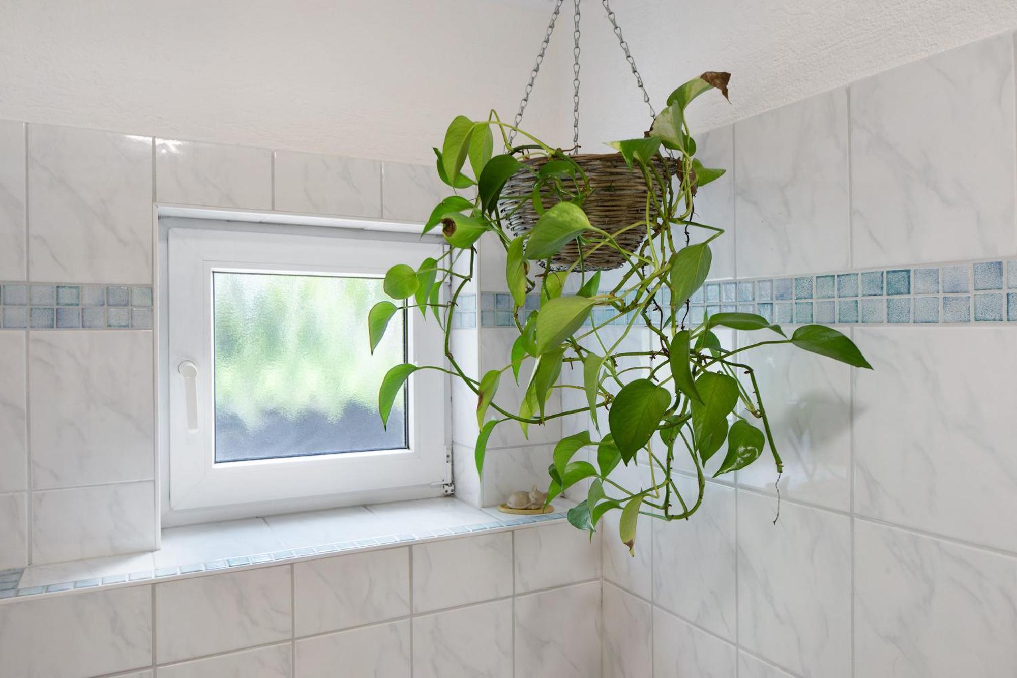 Ferienwohnung Zur Schauinslandbahn Horben ภายนอก รูปภาพ